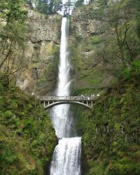 Multnomah Falls picture